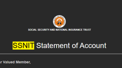 SSNIT: How To Access Your E-Statements and Check Your Contributions