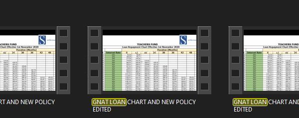 GNAT LOAN CHART