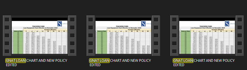 GNAT LOAN CHART