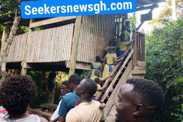 Kakum National Park (2025): Fees and Information
